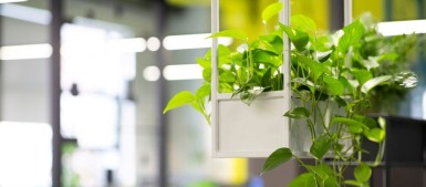 ASHRAE와 LEED, 그리고 DENTCloud로 만드는 지속 가능한 세상